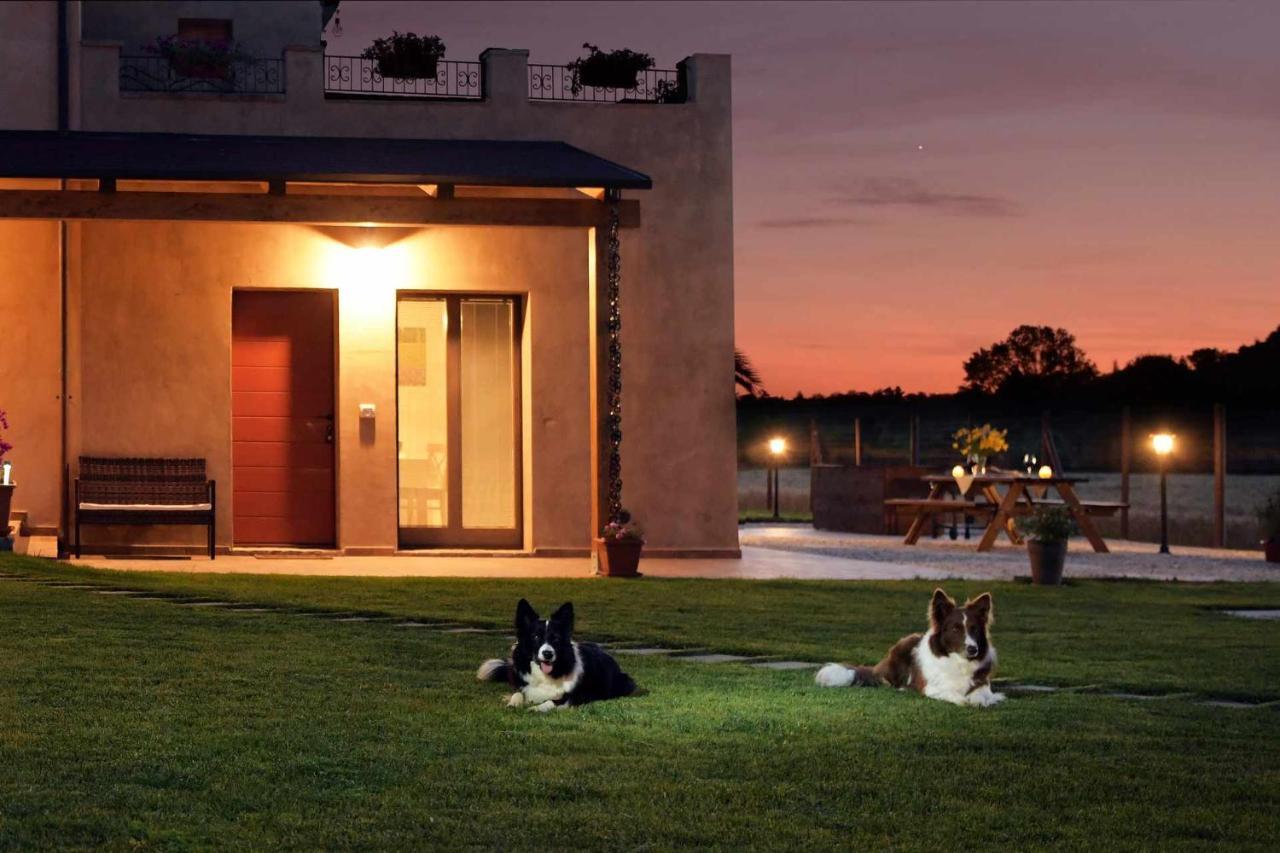 Casa Montefiore 13 Girasoli Lt Nella Tranquilla Campagna Marchigiana アンコーナ エクステリア 写真