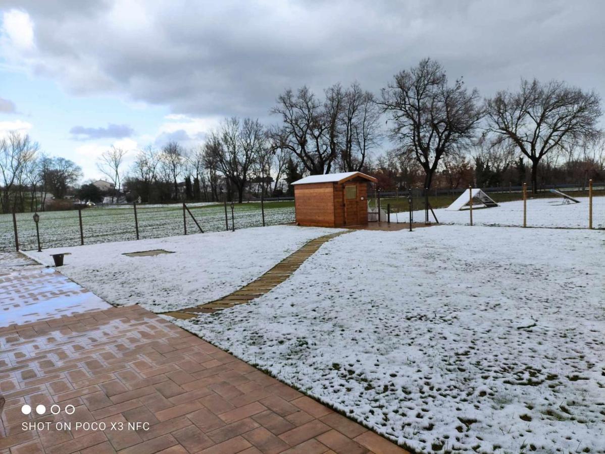 Casa Montefiore 13 Girasoli Lt Nella Tranquilla Campagna Marchigiana アンコーナ エクステリア 写真